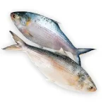 চাঁদপুরের বিখ্যার ইলিশ 1Kg / 800gm / 700gm / 500gm
