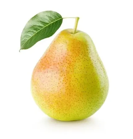 বিদেশী নাসপাতি 2Kg /1Kg / 500gm
