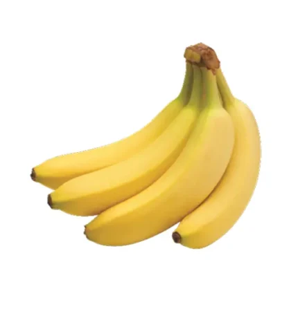 সাগর কলা